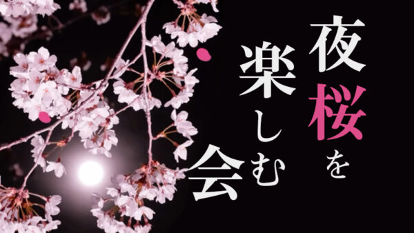 【宿泊者様限定イベント】夜桜を楽しむ会 in銭淵公園　2026.4.19～24